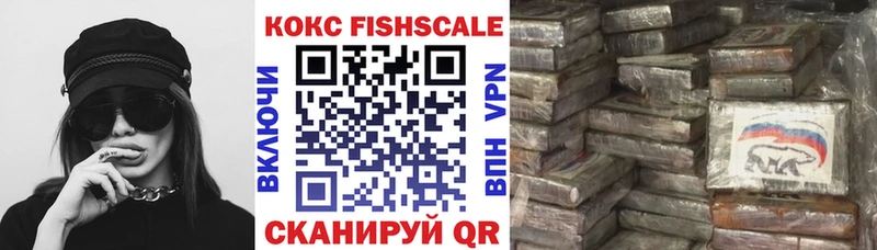 КОКАИН Fish Scale  Купить закладки  Евпатория 