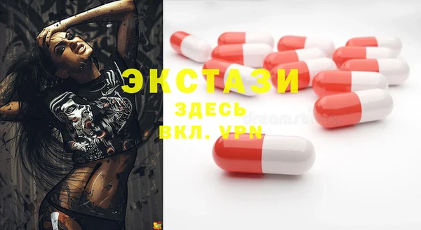 стаф Вяземский