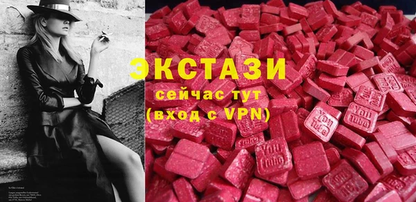 гидра Вязьма