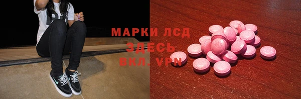стаф Вяземский