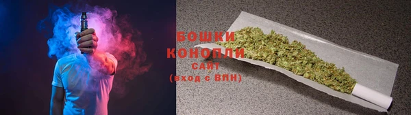 стаф Вяземский