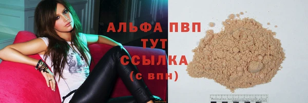 стаф Вяземский