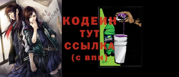 стаф Вяземский