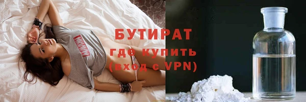 гидра Вязьма