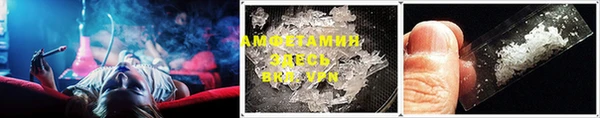 гидра Вязьма