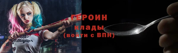 гидра Вязьма