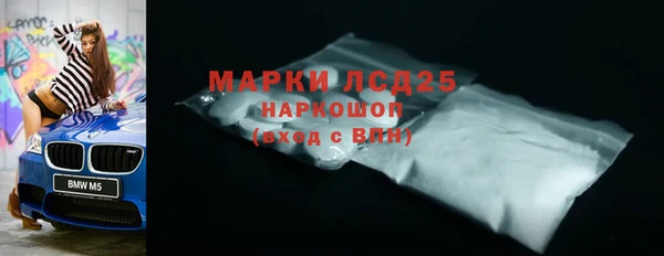 стаф Вяземский