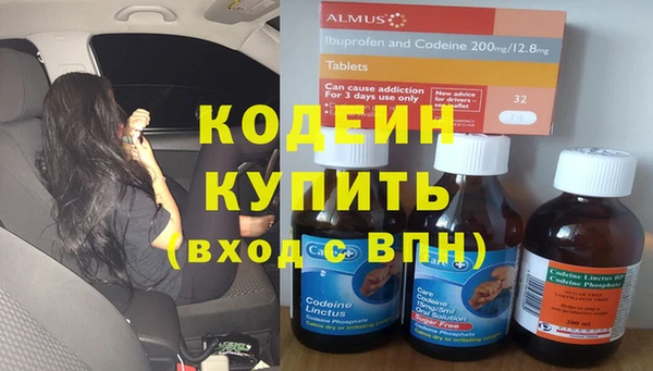 гидра Вязьма