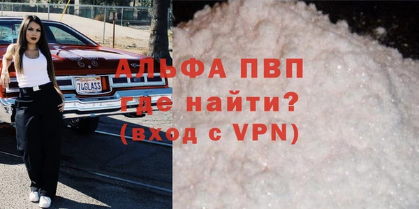 стаф Вяземский