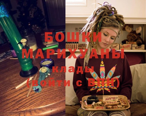 гидра Вязьма