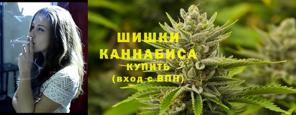 стаф Вяземский