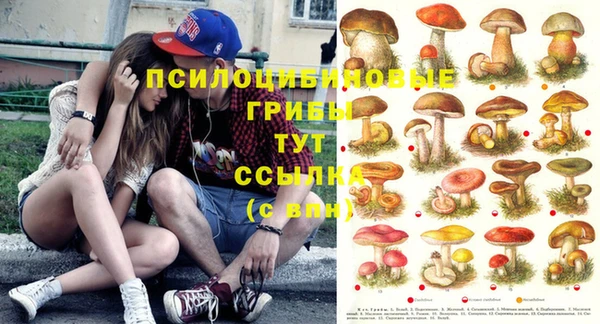 стаф Вяземский