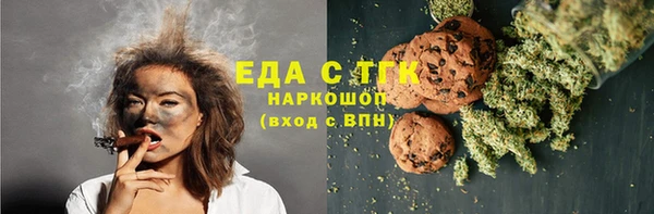 гидра Вязьма