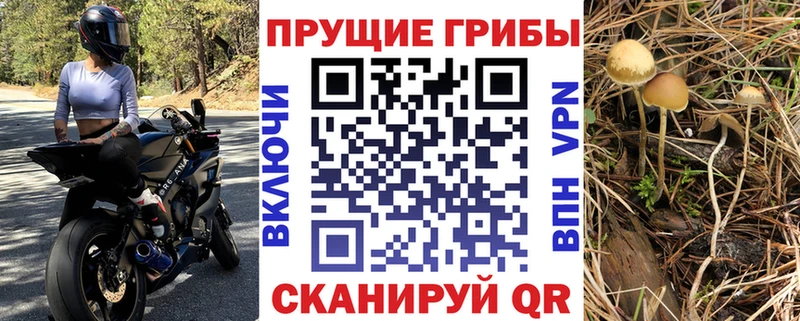 Купить  Евпатория  Галлюциногенные грибы MAGIC MUSHROOMS 