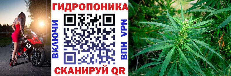 Шишки марихуана планчик  Купить закладки  Евпатория 